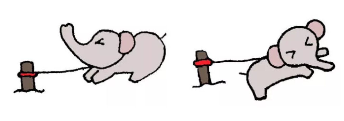 1574738252213022.png WechatIMG96.png