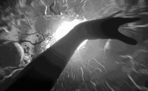 1588856589334870.gif 15.gif