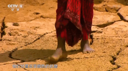 1589353847351385.gif 图6.gif