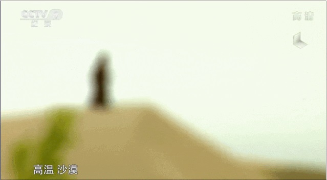 1589354092802575.jpg 图9-1.jpg