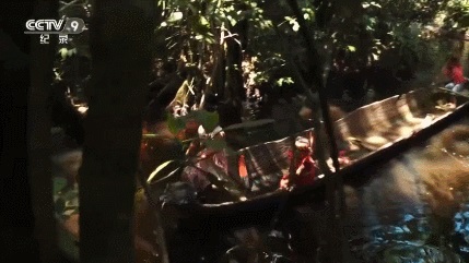 1589354355208209.jpg 图17-1.jpg