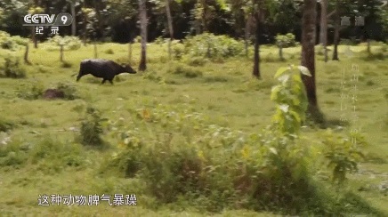 1589354752595734.jpg 图28-1.jpg