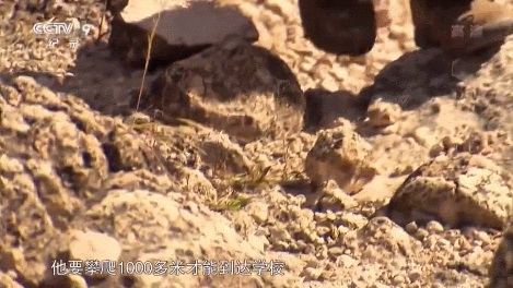 1589356024948740.jpg 图49-1.jpg