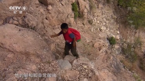 1589356187570917.jpg 图52-1.jpg