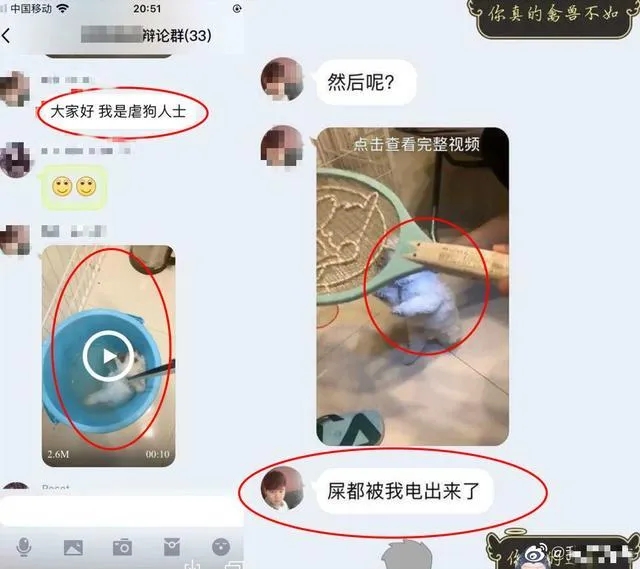 1589960987846421.jpg 图1.webp.jpg