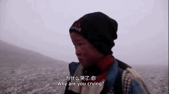 1590127923857644.gif 图24.gif