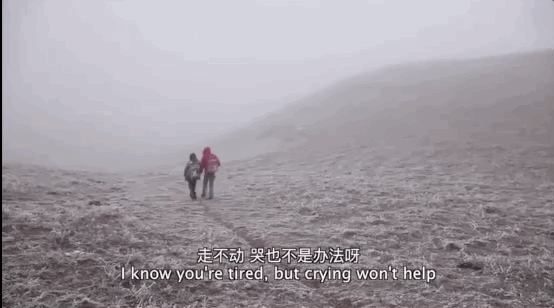 1590127937467120.gif 图25.gif