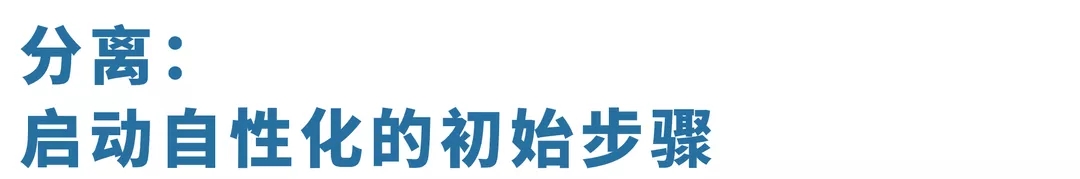 1595829987983477.jpg