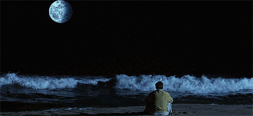 1603785298954922.gif 1.gif