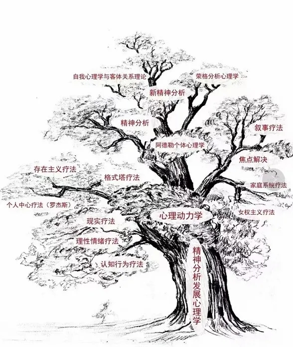 1626249203690843.jpg
