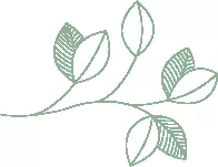 9.webp.jpg