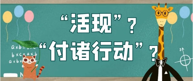 1637652068765731.png 1.png