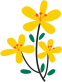 31.png